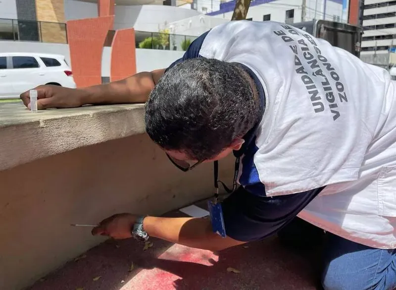 Imagem ilustrativa da imagem PRAÇA NA GRUTA É INTERDITADA PARA CONTER INFESTAÇÃO DE CARRAPATOS