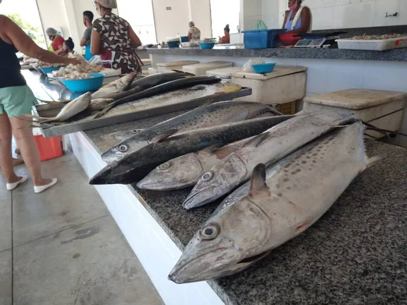 Com o preço das carnes nas alturas, os consumidores alagoanos estão optando por comprar pescado para consumo
