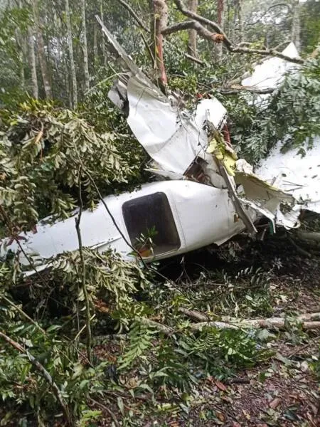 Segundo a Polícia Civil, a aeronave de pequeno porte caiu em local de difícil acesso