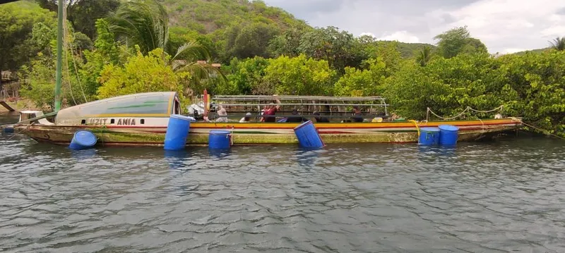 Imagem ilustrativa da imagem SÍMBOLO DO VELHO CHICO, CANOA DE TOLDA LUZITÂNIA É RESGATADA EM AL