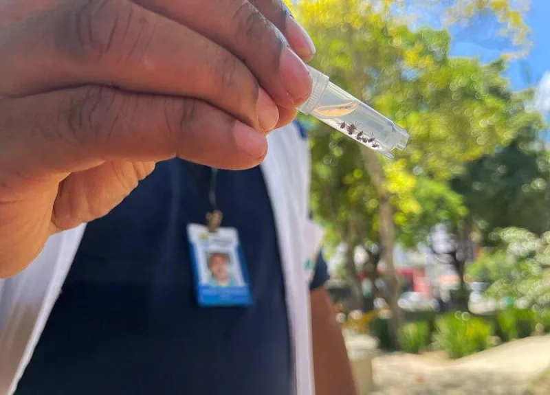 Imagem ilustrativa da imagem VIGILÂNCIA DE ZOONOSES APLICA BARREIRA QUÍMICA EM PRAÇA COM CARRAPATOS
