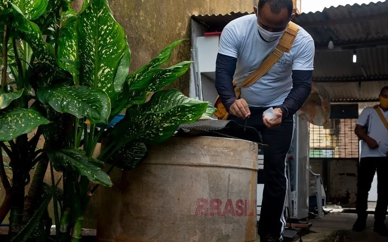 De janeiro a maio deste ano, foram registrados 8.914 casos de dengue no estado, segundo dados do governo federal