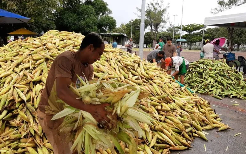 Imagem ilustrativa da imagem PROCON: PREÇOS DE PRODUTOS JUNINOS VARIAM MAIS DE 2.000%