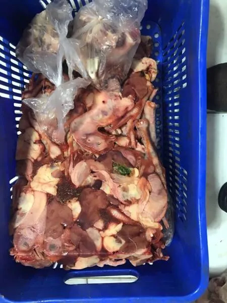 Dentre os produtos inadequados estavam frango, carne bovina, linguiça e laticínios