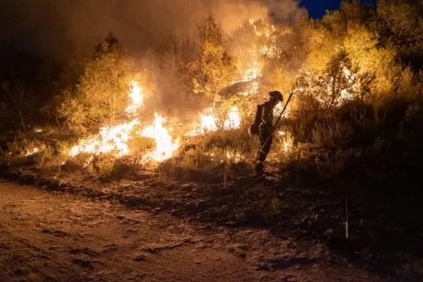 Imagem ilustrativa da imagem ESPANHA ULTRAPASSA 500 MORTES POR ONDA DE CALOR