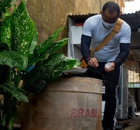As arboviroses mais comuns em ambientes urbanos são dengue, zika e chikungunya