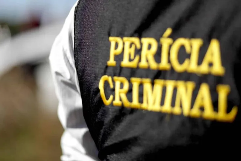 A perícia técnica da Polícia Civil confirmou que Mary Valdilene foi morta a facadas