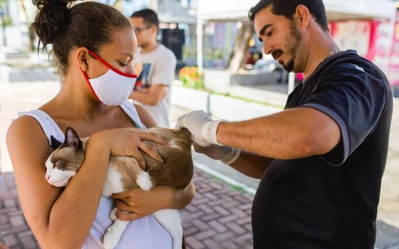 raiva é uma doença infecciosa viral aguda grave, que acomete mamíferos, inclusive o homem