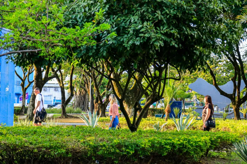Na transição entre período chuvoso e o seco, a temperatura em Alagoas pode chegar a 34°C no Sertão