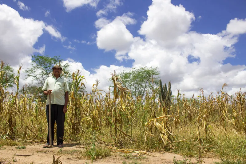 Imagem ilustrativa da imagem PROMETIDA ‘REVOLUÇÃO NO CAMPO’ EM ALAGOAS FICOU APENAS NO PAPEL
