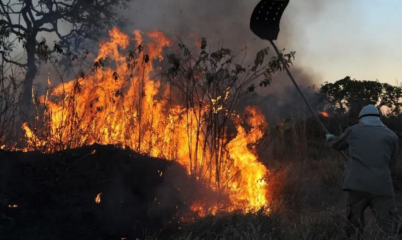 Ao todo, o perímetro atingido pelas chamas foi de 487 mil hectares, de acordo com informe do Monitor do Fogo