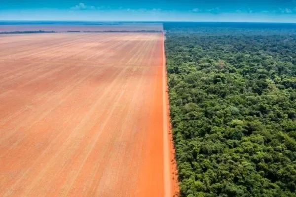 Imagem ilustrativa da imagem EMISSÕES DE GASES DE EFEITO ESTUFA TÊM MAIOR ALTA EM 19 ANOS NO BRASIL