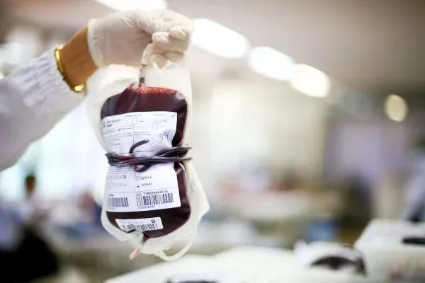 Imagem ilustrativa da imagem EPIDEMIAS: CIENTISTAS PODEM MAPEAR EVOLUÇÃO POR AMOSTRAS DE SANGUE