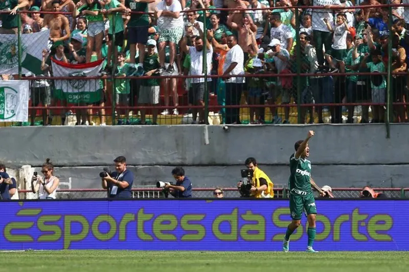 Após título de 2022, Palmeiras repete a dose e leva segunda taça