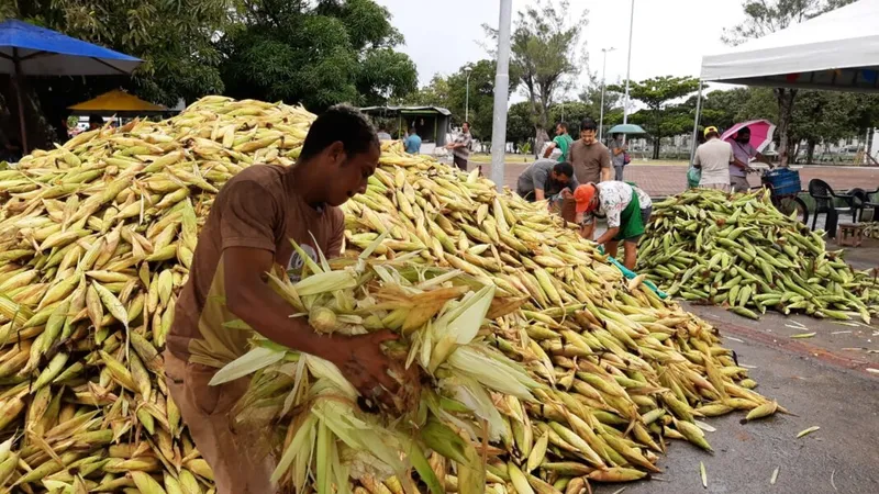 Imagem ilustrativa da imagem PREÇO DA MÃO DE MILHO EM MACEIÓ PODE CHEGAR ATÉ R$ 60