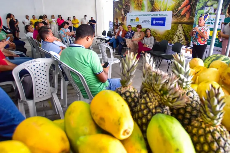 Imagem ilustrativa da imagem PROGRAMA DE AQUISIÇÃO DE ALIMENTOS BENEFICIA MAIS DE 100 MIL FAMÍLIAS