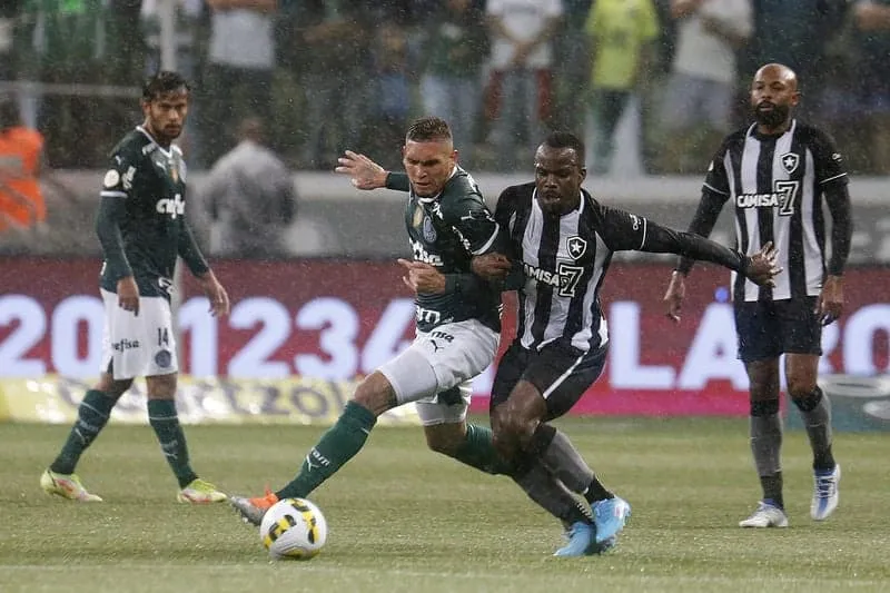 Palmeiras, atual campeão brasileiro, não quer deixar o Fogão desgarrar ainda mais na ponta da Série A