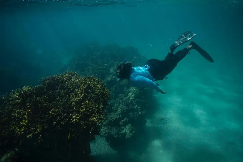 A bióloga Bárbara Ramos Pinheiro tem mestrado e doutorado em Oceanografia