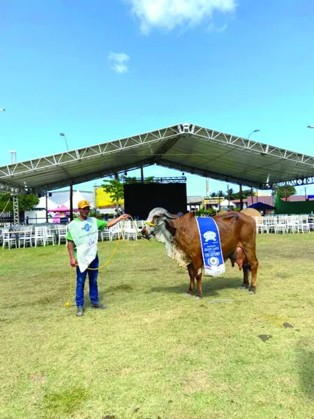 Imagem ilustrativa da imagem LANÇADA A 73ª EXPOAGRO                                 .