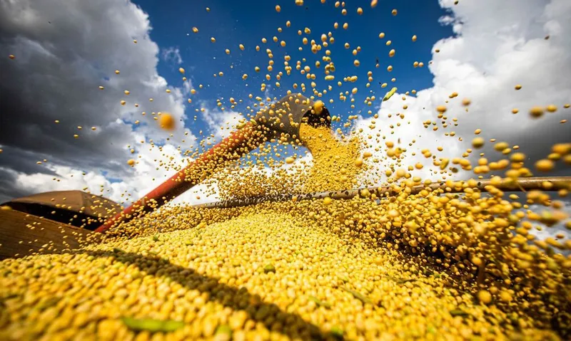 Imagem ilustrativa da imagem PRODUÇÃO DE GRÃOS NO PAÍS ATINGE RECORDE, COM ALTA DE 18,4%