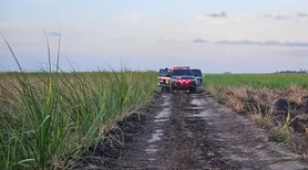 Cabeleireira desaparecida é encontrada morta e carbonizada em canavial em AL