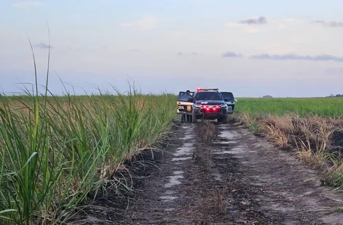 Cabeleireira desaparecida é encontrada morta e carbonizada em canavial em AL