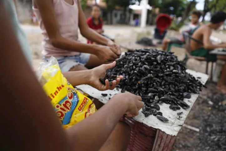 Apesar das campanhas, trabalho infantil ainda afasta muitas crianças da sala de aula 