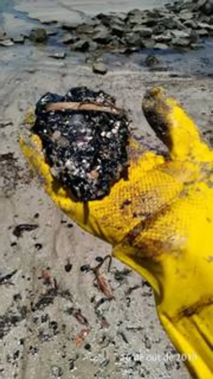 Equipes dos órgãos ambientais se concentram ontem nas praias de Maragogi e Japaratinga, mas já atuaram em outros seis municípios que tiveram o litoral atingido pelo óleo