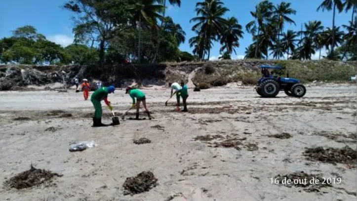 Imagem ilustrativa da imagem Mais de 130 t de óleo já foram retiradas de praias alagoanas