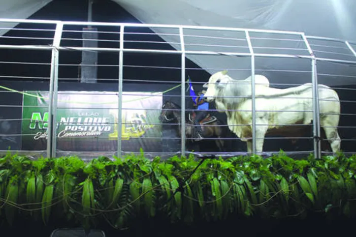 No total, foram 433 animais comercializados na exposição