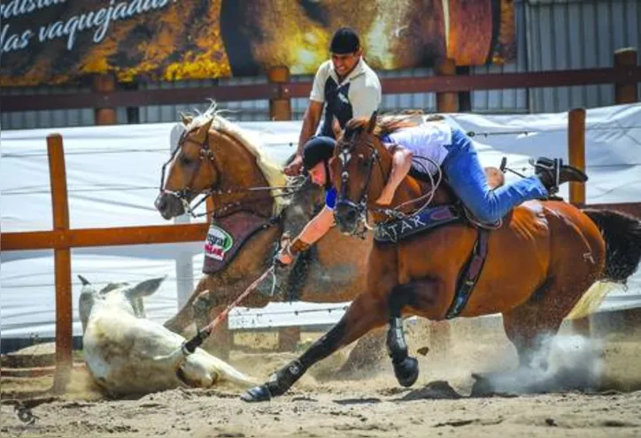 Evento, no município do Pilar, reúne mais de 1,5 mil vaqueiros nas disputas
