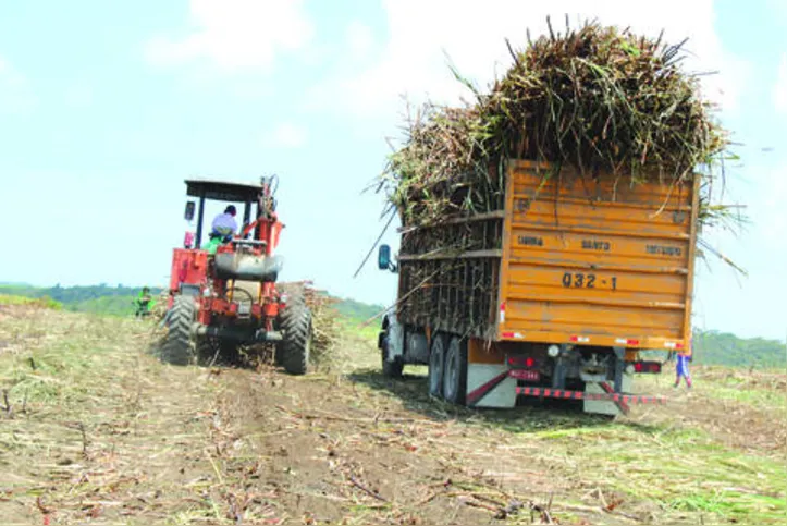 Na safra passada, Alagoas processou pouco mais de 16 milhões de toneladas de cana