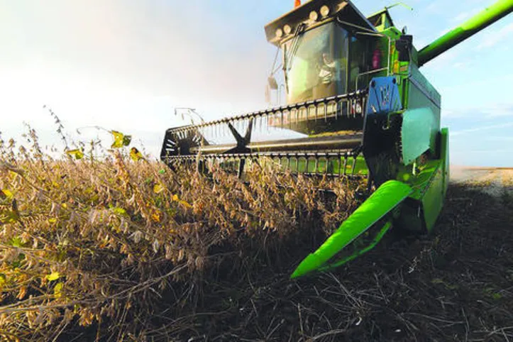 Imagem ilustrativa da imagem Ano de 2019 marca avanços na agropecuária