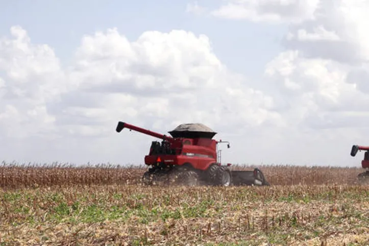 Expectativa é que sejam cultivados 64,2 milhões de hectares ou o equivalente a uma variação positiva de 1,5% em comparação à da safra anterior