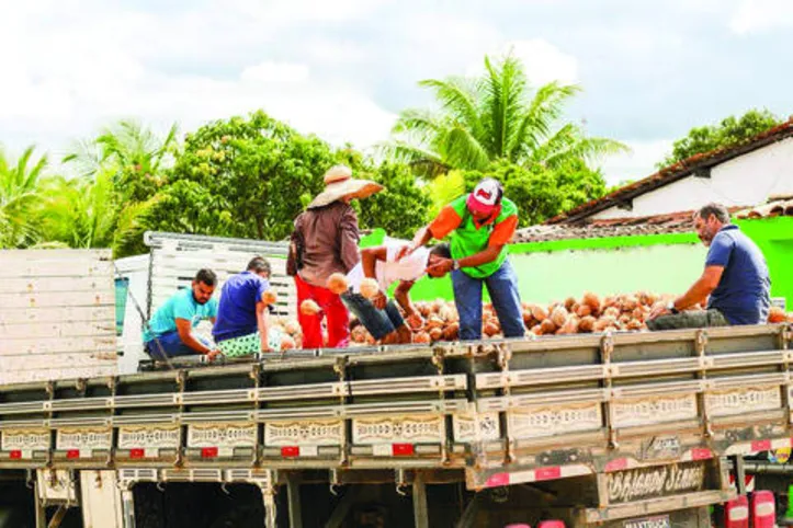 Imagem ilustrativa da imagem Cooperativismo muda a vida de agricultores