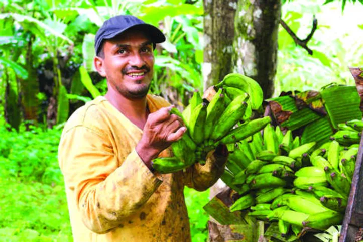 Cooperativismo no campo mudou a vida de agricultores familiares