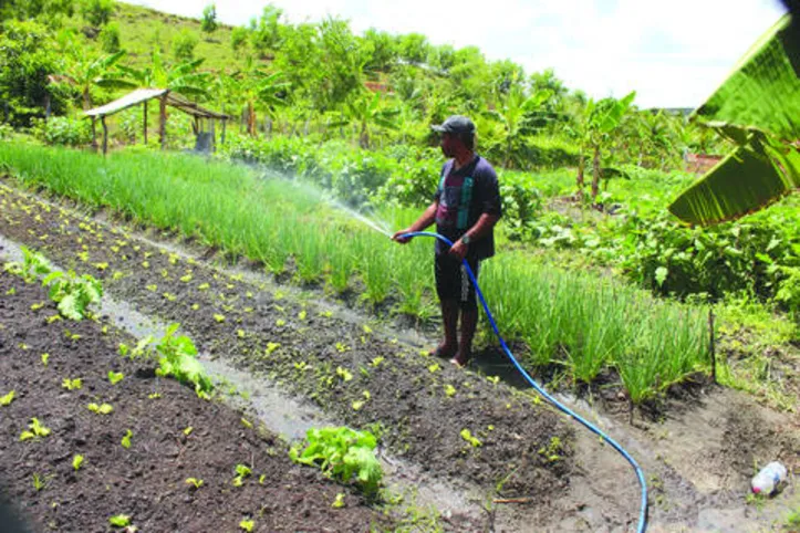 Agricultores familiares foram penalizados por falta de investimentos do governo