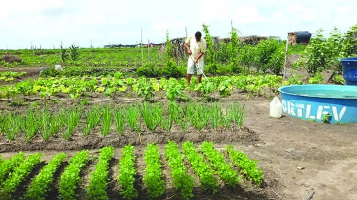 Programa atende agricultores que tiveram perda de safra, por razão de estiagem ou enchente