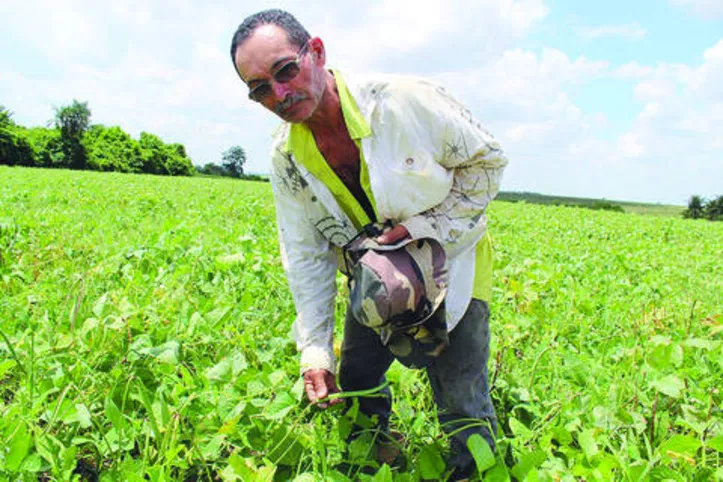 Acesso às tecnologias de irrigação tem melhorado a vida dos pequenos agricultores