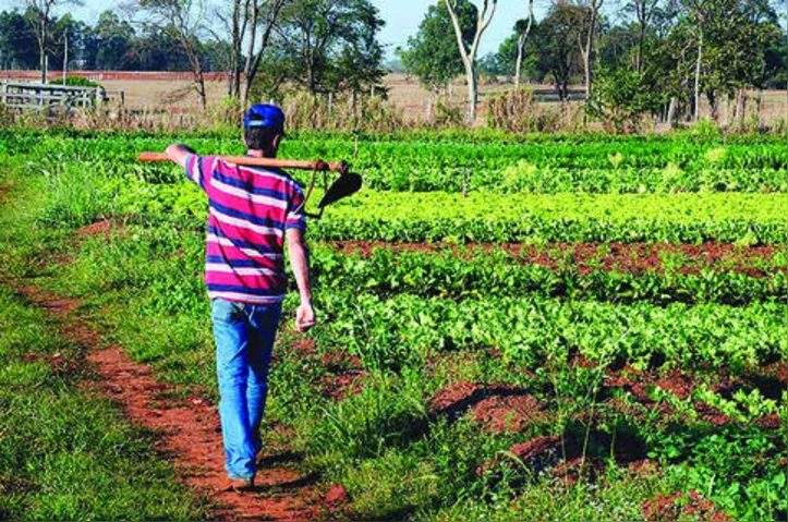 Imagem ilustrativa da imagem DICA RURAL (04 e 05/04/2020)