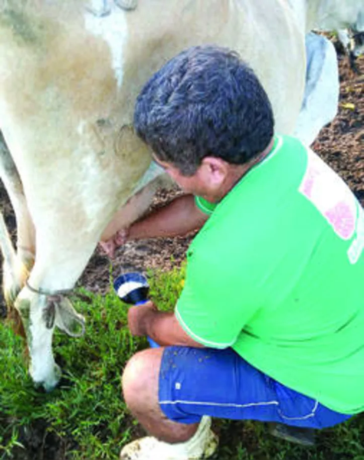 Leite distribuído pelo programa é fornecido por agricultores familiares que aguardam o repasse das parcelas atrasadas