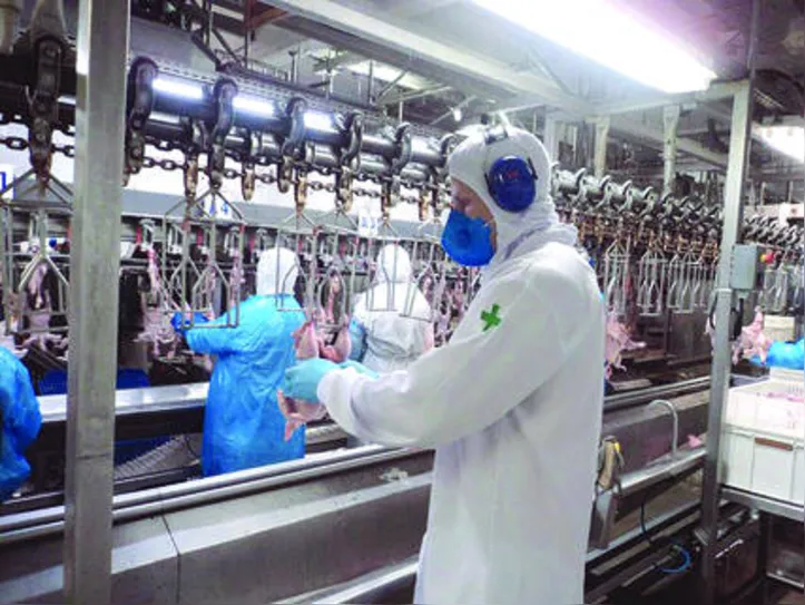 Serviço de Inspeção Federal garante a manutenção do abastecimento de produtos de origem animal