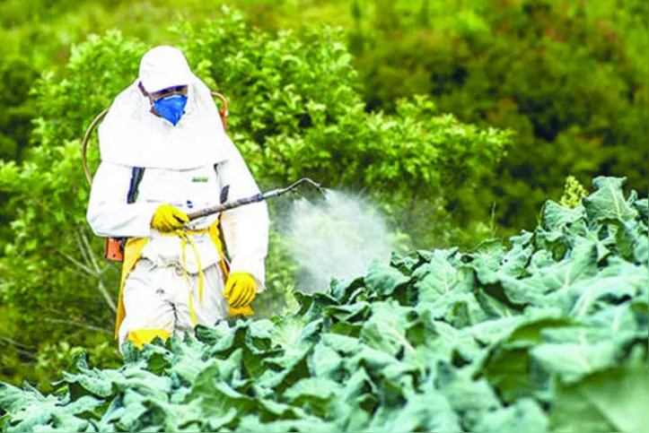 Os defensivos liberados foram analisados pelo Ministério da Agricultura, Ibama e Anvisa