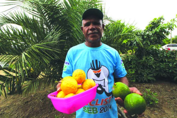 Imagem ilustrativa da imagem Produtores rurais garantem abastecimento