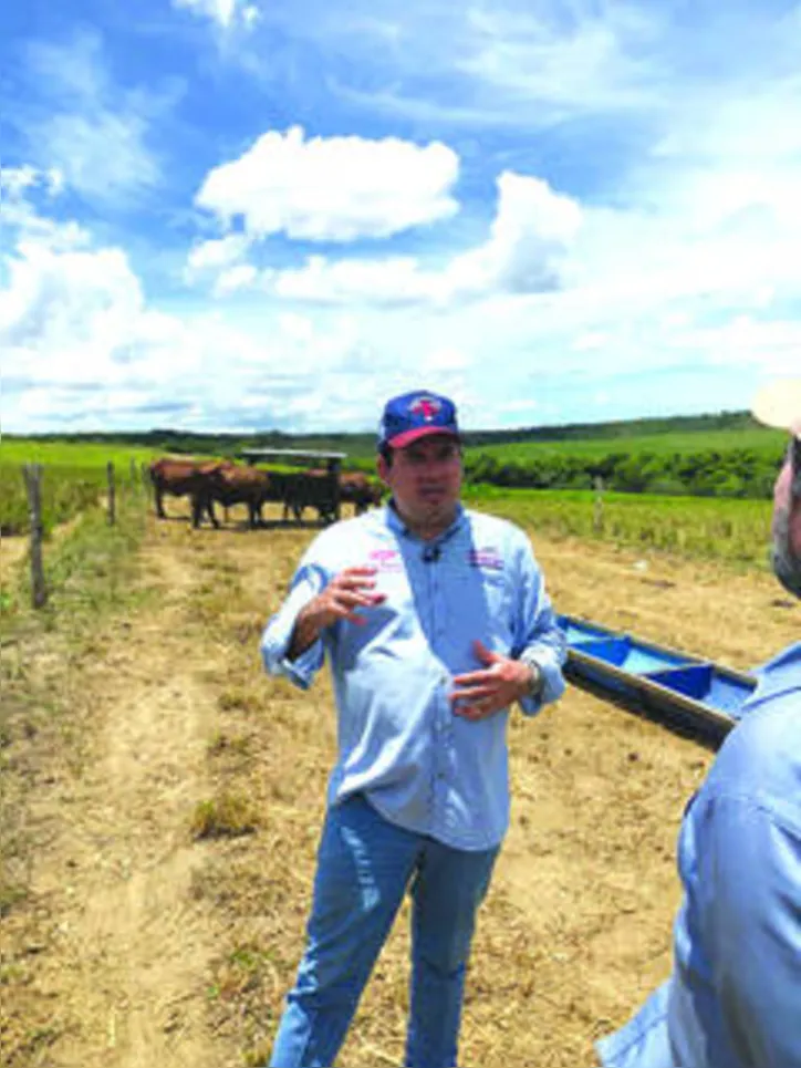 Criador Gustavo Barreto destaca qualidade do santa gertrudis