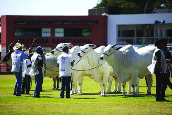 Evento é considerado a maior exposição zebuína do mundo