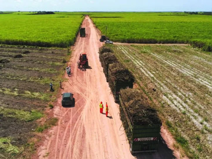 No Nordeste, foram esmagadas, nesta safra, 49,1 milhões de toneladas de cana