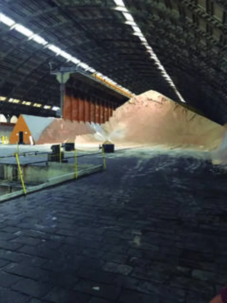 Açúcar VHP é o principal produto do mix da cana-de-açúcar em Alagoas