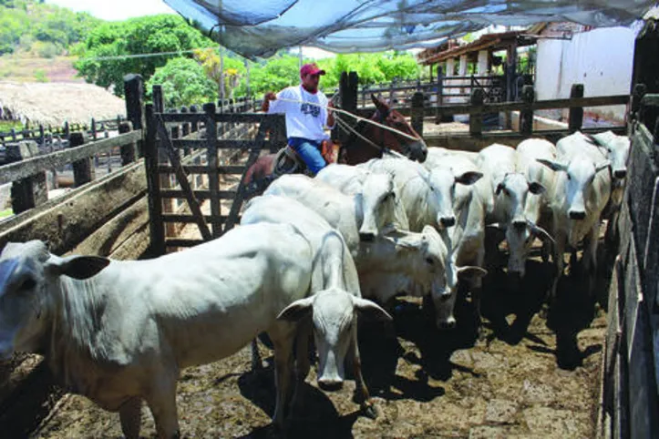 Primeira etapa da vacinação será realizada no mês de maio, apesar da pandemia da Covid-19