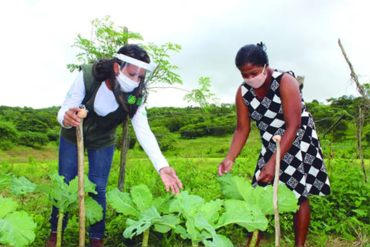 Agronordeste tem atuação em oito municípios de Alagoas